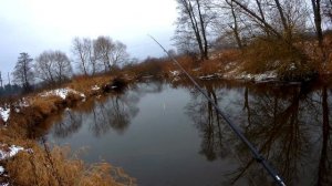 Почему катушка (даже дорогая)кидает петли и бороды?Основные факторы.