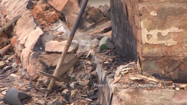 Мужчина сжег свой дом, чтобы выселить арендаторов смотреть онлайн