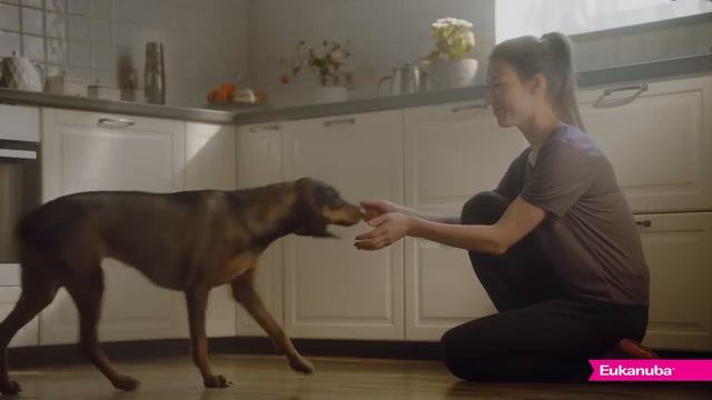 Корма Eukanuba (Экануба) для собак и для кошек смотреть онлайн