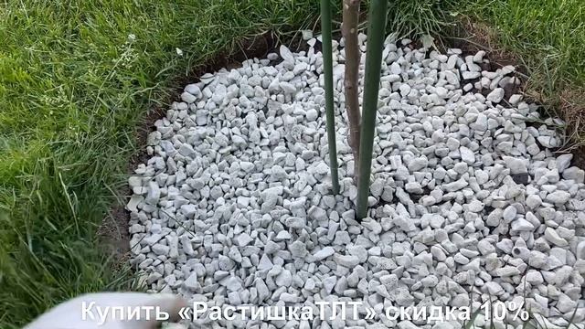 РОЗЫ. СДЕЛАЙТЕ ЭТО И ВАШИ РОЗЫ НЕ ЗАМЁРЗНУТ ЗИМОЙ! смотреть онлайн