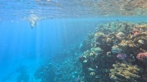 Шарм эль Шейх