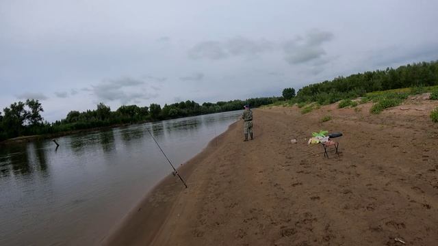 Ахтуба рыбалка на донку.Поймал ЖЕРЕХА на кастмастер. смотреть онлайн