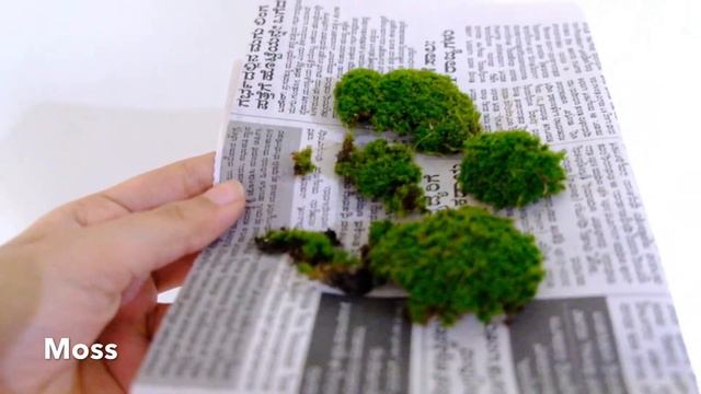 DIY : Succulent Plant Terrarium смотреть онлайн