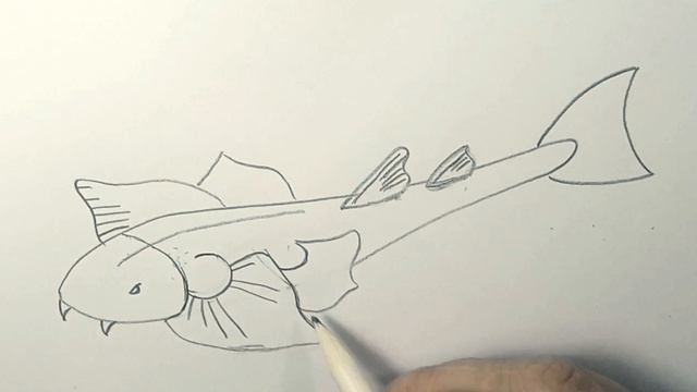 Скат морской ангел - рисунок простым карандашом смотреть онлайн