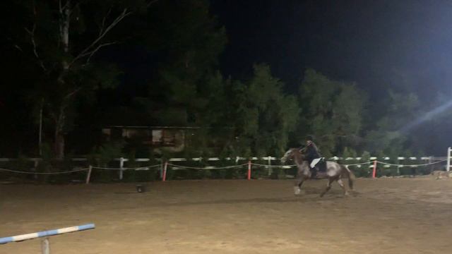 Grace Cooper on Fernleigh Royal Darling смотреть онлайн