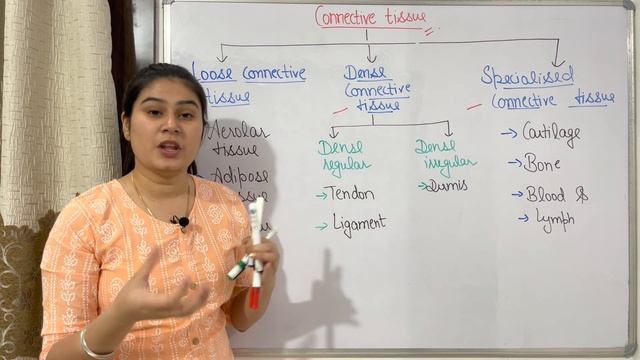 Connective Tissue in Hindi | Part-2 | Structure | Locations | Types | Functions смотреть онлайн