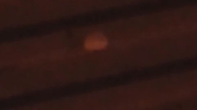 TWO RETARDS GO THROW SAUSAGES EVERYWHERE (MUST WATCH) смотреть онлайн