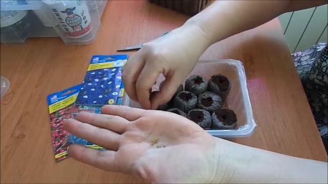 Посадка лобелии серия"РИВЬЕРА" смотреть онлайн