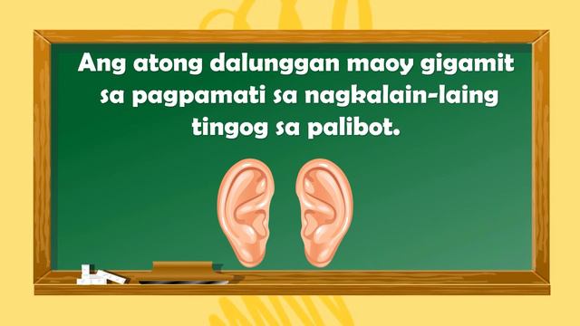 Kindergarten Lesson l Quarter 1 Week 8 l Five Senses l Binisaya смотреть онлайн