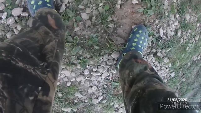 Карп в кокино смотреть онлайн