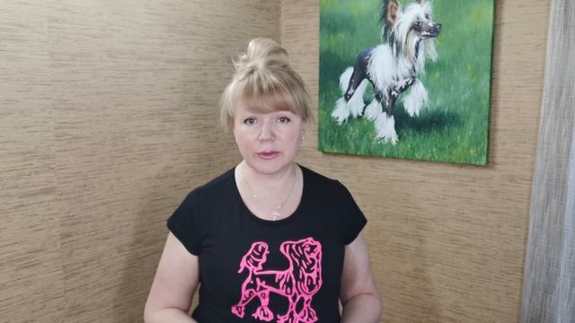 Стерилизация собак словами заводчика и владельца . Китайская хохлатая собака . смотреть онлайн