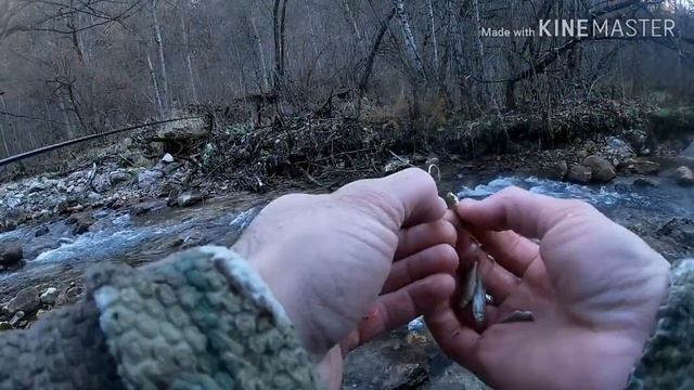 Рыбалка КБР Форель? смотреть онлайн