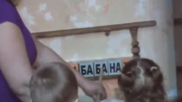 Развивающие занятия для детей. смотреть онлайн