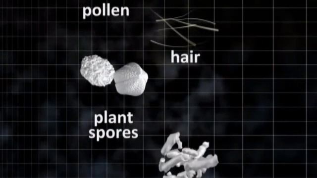 Назальные респираторы (фильтры в нос) NOSK смотреть онлайн