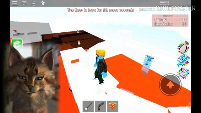 Играем в игру ПОЛ ЭТО ЛАВА! в роблокс / THE FLOOR IS LAVA / ВЕСЁЛЫЙ КОТЁНОК МАРТ и КОТ ЮТУБЕР смотреть онлайн