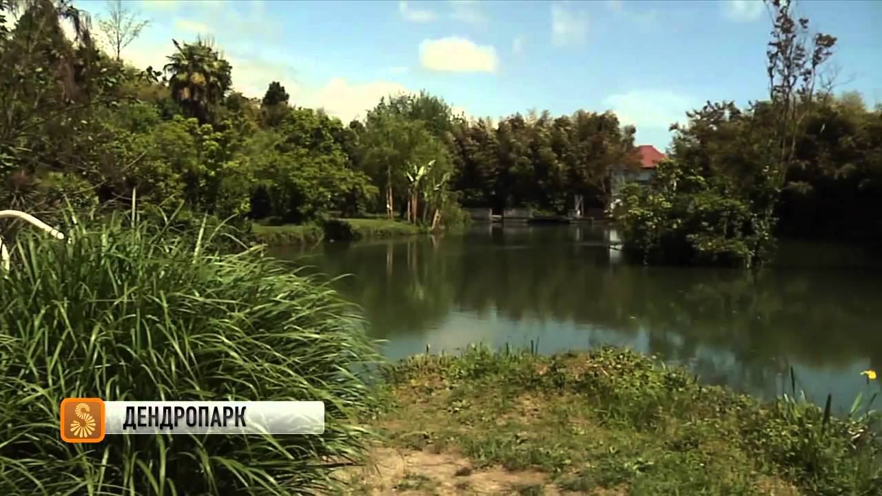 Сочное. Частный город клуб смотреть онлайн