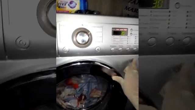 #Ariel КАПСУЛА НАРХИ КАНЧА ?????? смотреть онлайн