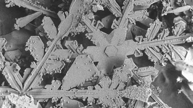Этот удивительный снежный мир. Почему хрустит снег? смотреть онлайн