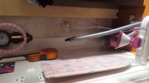 чистка от накипи отпаривателя