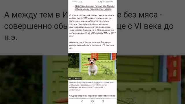 Памятка для вегетарианцев №2.??С эффектом Пранаямы. Как всё заменить?И объяснить мясоедам, почему? смотреть онлайн