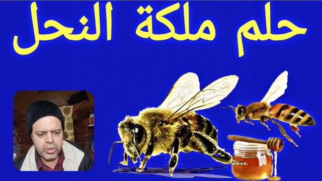 تفسير حلم رؤية الخوف من النحل في المنام | ماذا يعني وجودي النحل في الأحلام | رموز وتفسيرات عن النحل смотреть онлайн