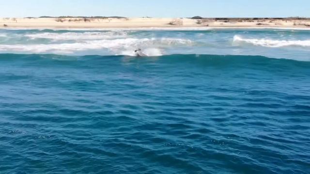 Winter 2020 Mark drone wild water hogs смотреть онлайн