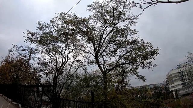 #252 Первый день зимы в Ялте. Крымские зимние пейзажи. Вечнозелёная Ялта смотреть онлайн