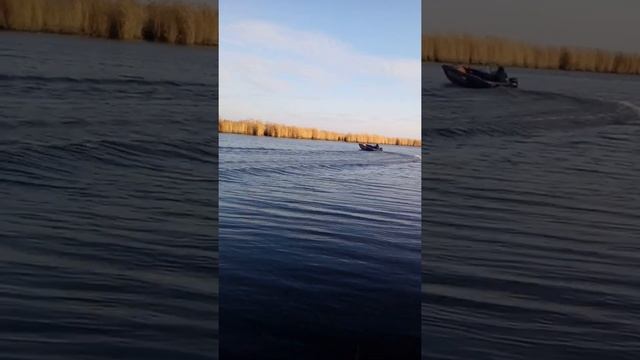 Кайман 400 + Mercury e 25 e efi (23.11.2019г). смотреть онлайн