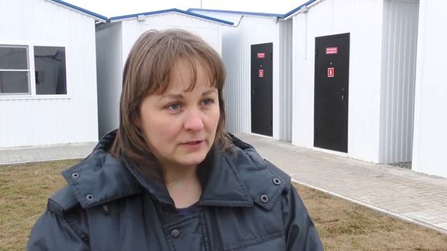Подготовка к открытию приюта для бездомных животных смотреть онлайн