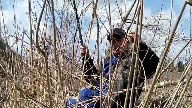 Рыбалка с дедушкой на поплавок. смотреть онлайн