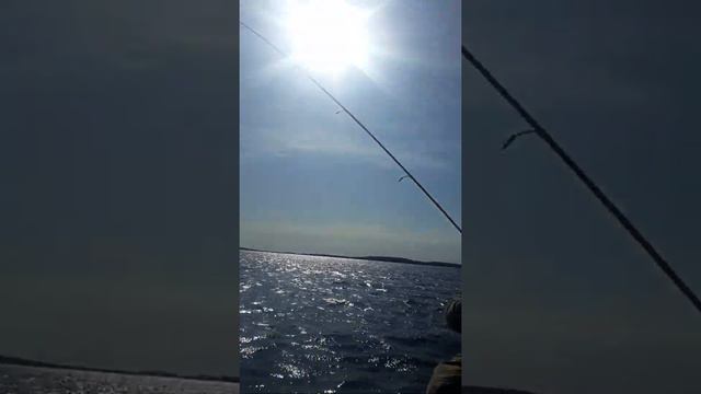 РЫБАЛКА на Беломорканале. смотреть онлайн