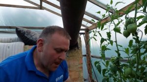 Презентация новинок томатов от компании Клоз. Гибриды Айдар,  Мадрид, Миноприо, Конго, Канова