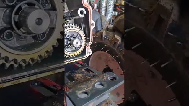 СМОТРИ как выглядит коробка мотоблока с пониженной передачей Shtenli 1900 изнутри #shortvideo #ree смотреть онлайн