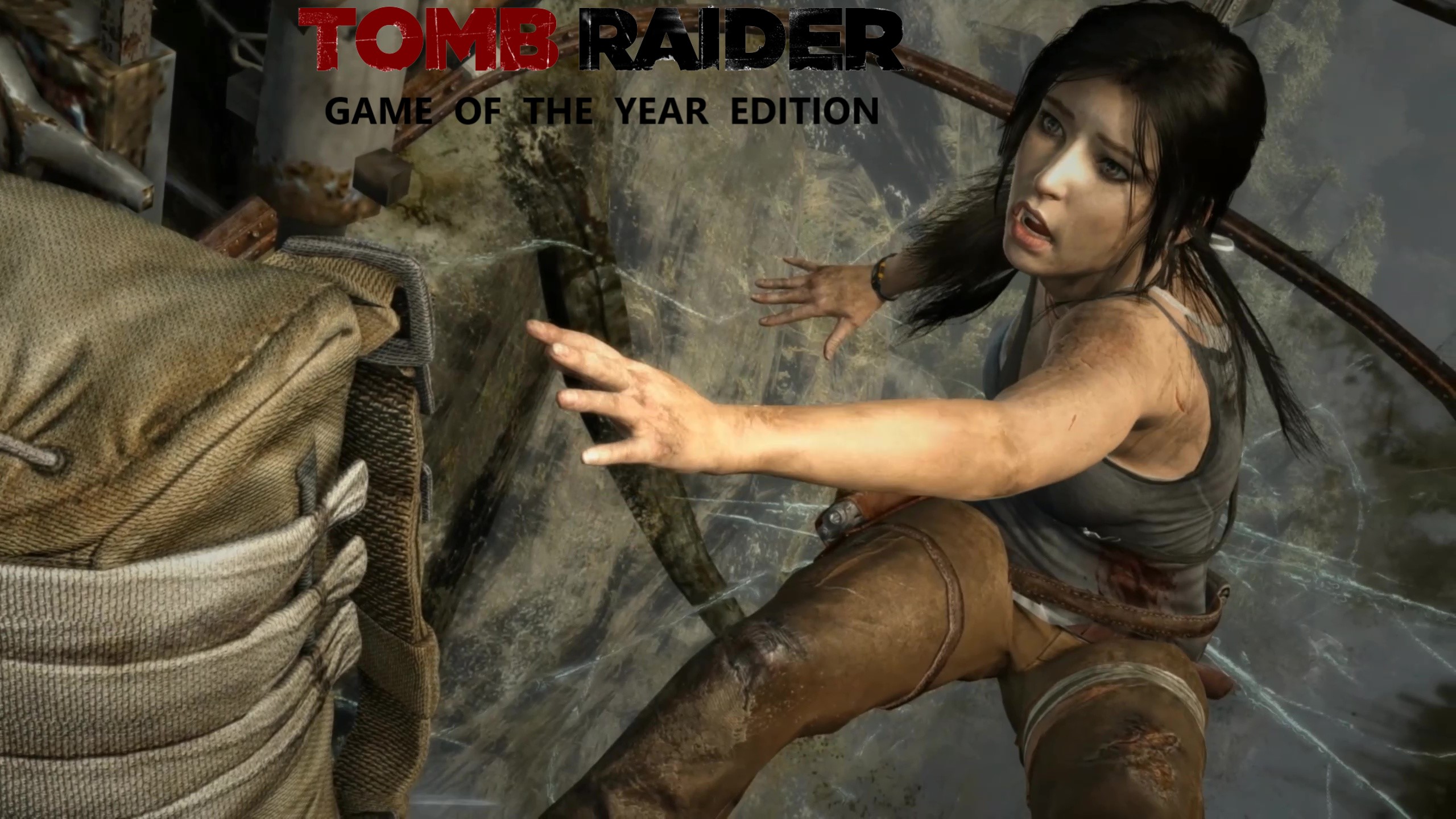 Tomb Raider  GOTY #3