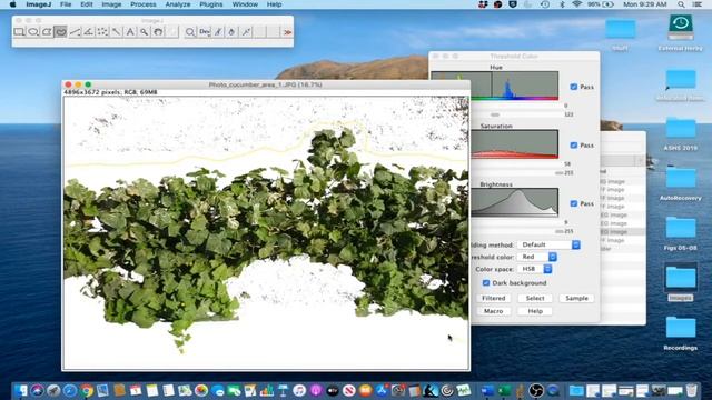 ImageJ Tutorial 1 - Measure Leaf Disease Area & Lesion Counts смотреть онлайн