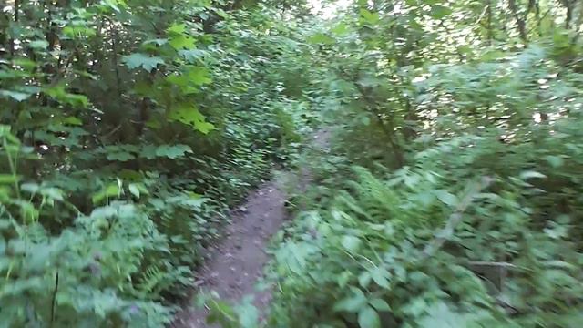 Лунёво смотреть онлайн