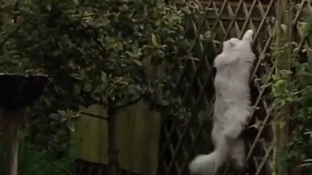 ЭХ! смотреть онлайн