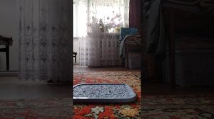 2 часть трюков на Лего фингер самокате (в следующем видео (+20) трюков PREMIUM)