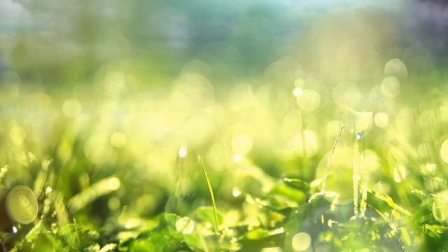 Сильная медитация радости смотреть онлайн