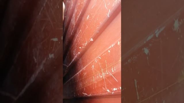 30.10.2023.Дежавю!!!Прошло 6 месяцев, кошка 