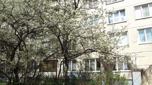 А У НАС ВО ДВОРЕ смотреть онлайн