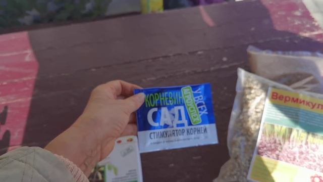 02.01.2021 г. Препараты для укоренения черенков роз. Удобрение из крапивы. Про Эпин экстра и Циркон смотреть онлайн