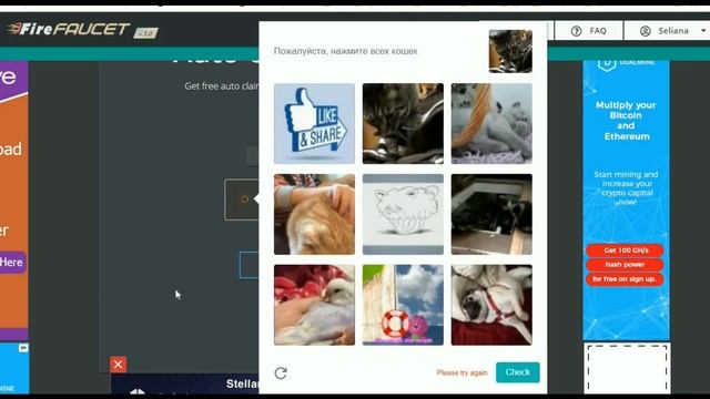 Firefaucet Автоматический кран криптовалют смотреть онлайн