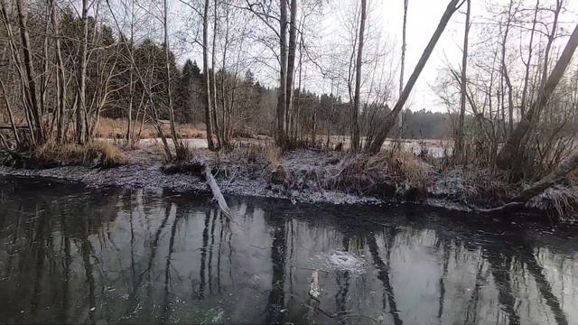 Первый Лед. Открытие 2019 2020 Ловля щуки на жерлицы в подмосковье. Бешеный клёв щуки! смотреть онлайн
