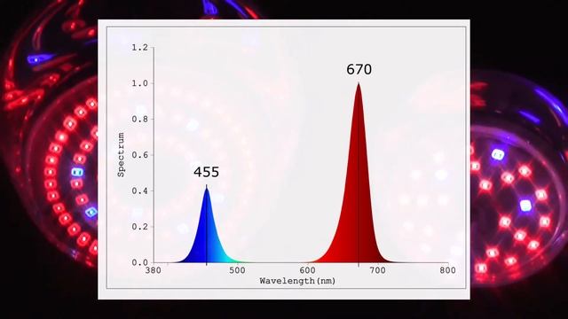 Светодиодные лампы и светильники для роста растений Camelion смотреть онлайн