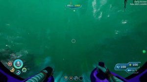 Flower Spore and Young Cotton Location // Subnautica Below Zero