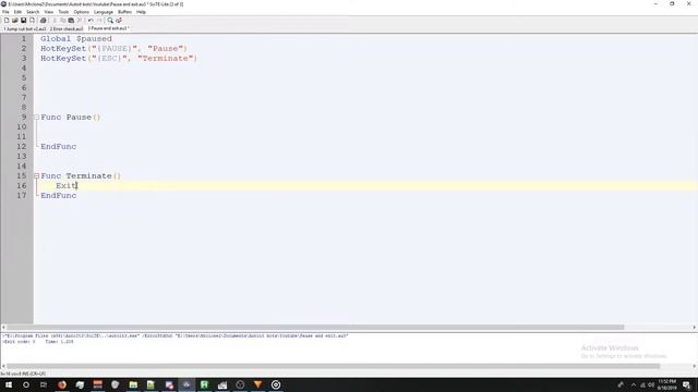Autoit: Pause and Exit functions смотреть онлайн