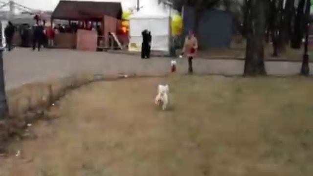 Вестовстреча смотреть онлайн