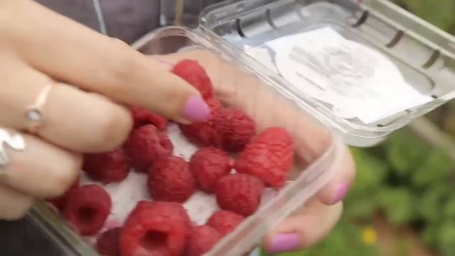 TZ PM Жиросжигатели 05 07 17 смотреть онлайн