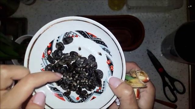 Амариллисы 09. Семенная коробочка, семена, посадка. смотреть онлайн